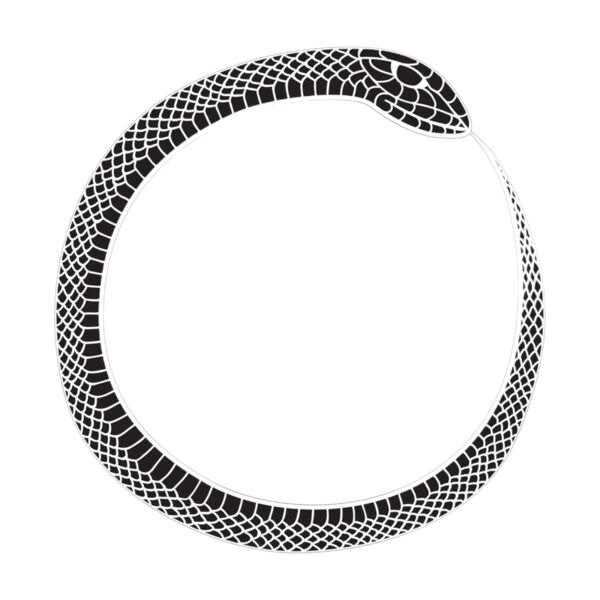 Shutterstock 1140176102 Thumbnail